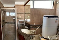 Dover Parkview (D5), Condominium #488065511